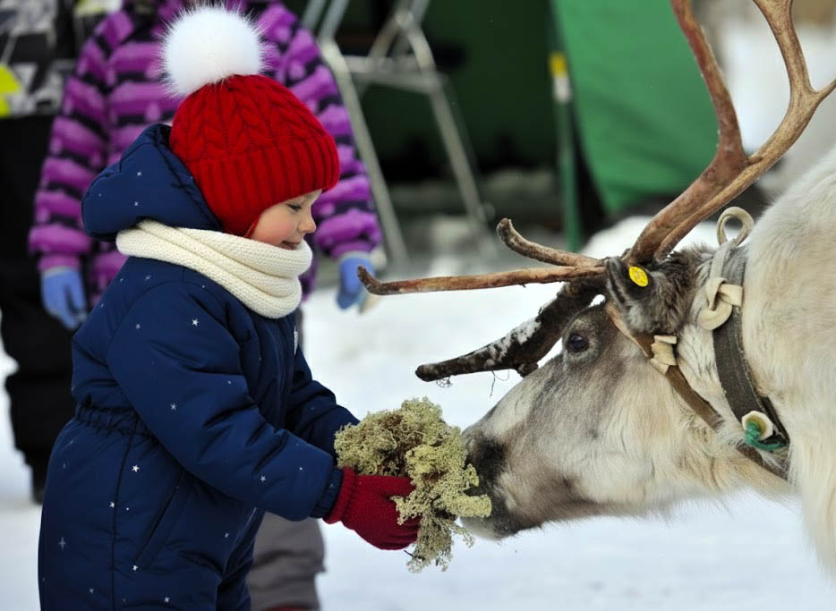 Саамская деревня