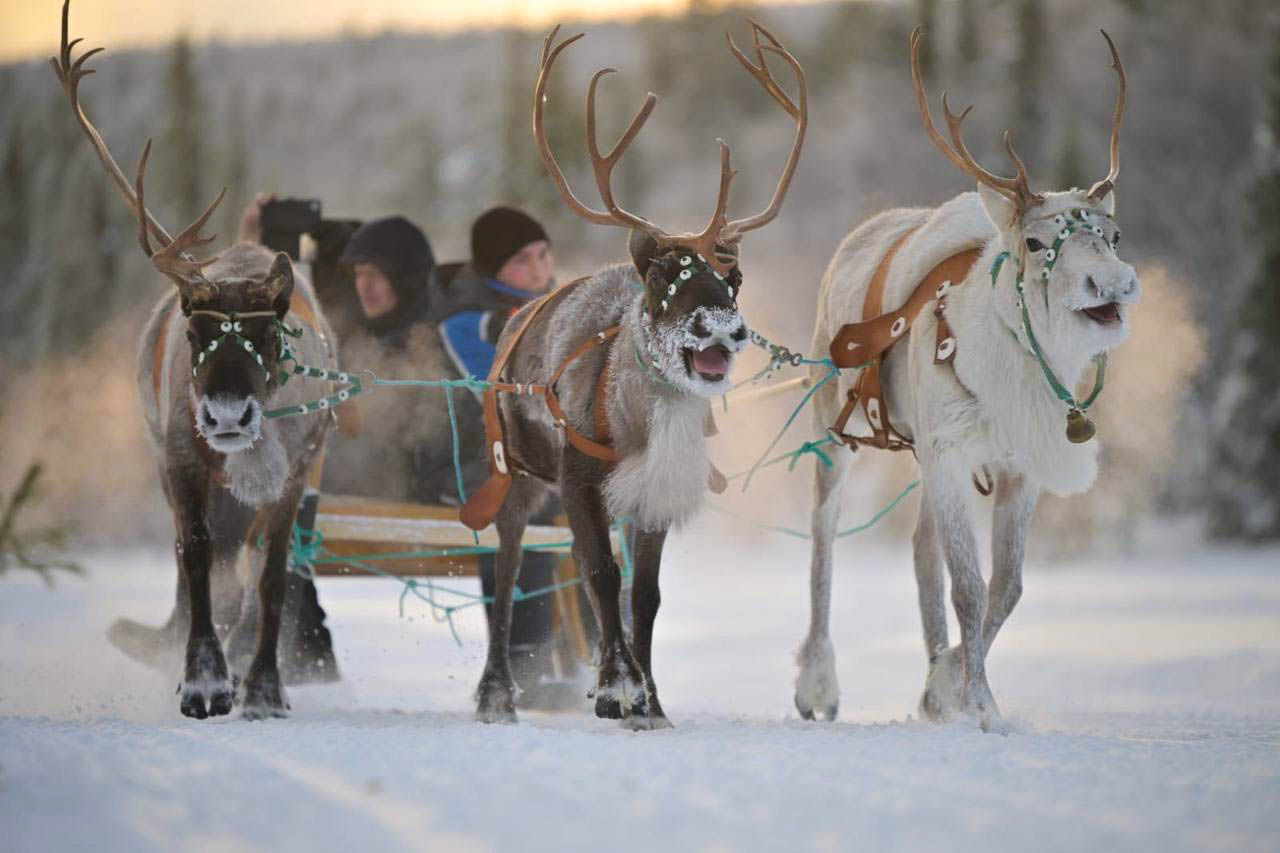 Саамская деревня